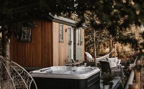 The Dragonfly Shepherds Hut